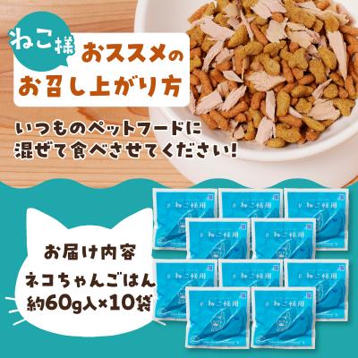 ふるさと納税 焼津市 ねこ様用10点セット(a20-432) |  | 03
