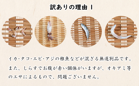 訳あり しらす 500g 冷凍 ちりめん かちり しらす干し 減塩 極み ごはん 丼 パスタ チャーハン サラダ 魚 料理 山庄 愛知県 南知多町 【配送不可地域：北海道･沖縄･離島】 ( 訳ありしら