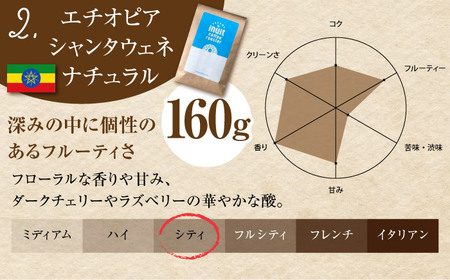 【全6回定期便】 【中粗挽きタイプ】 コーヒーセット＜スペシャルティコーヒー＞ 【イヌイットコーヒーロースター】[ASAB017]