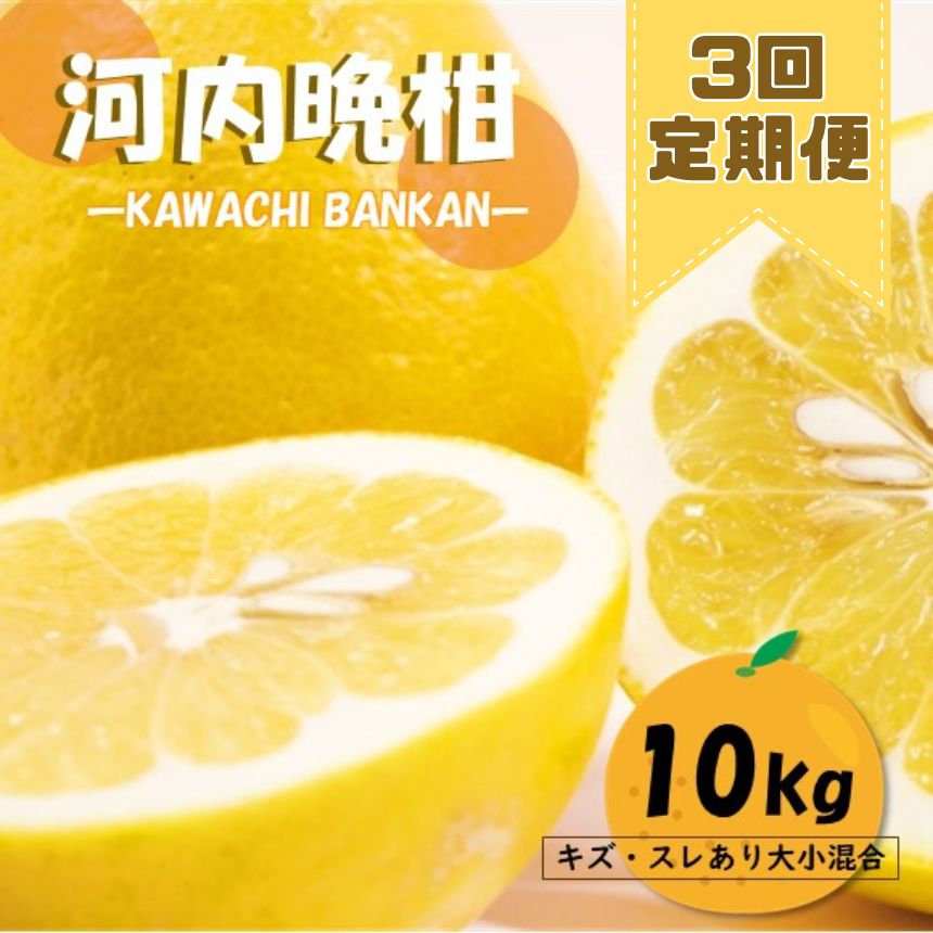 【ふるさと納税】定期便 3回 河内晩柑 10kg 柑橘 みかん ジューシーオレンジ 初夏 玉名 熊本県産 晩柑 10キロ×3回玉名 熊本 送料無料