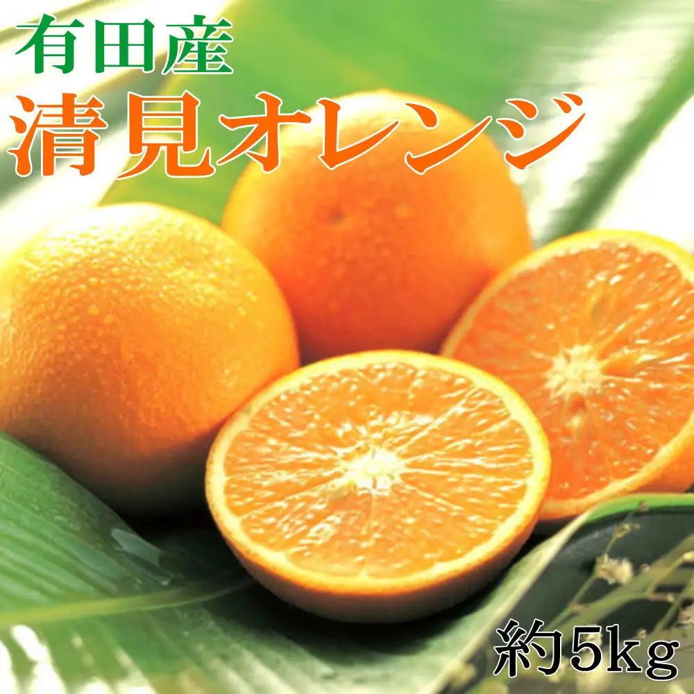 【濃厚】有田産清見オレンジ約5kg（サイズおまかせ 青秀以上） ※2027年2月中旬～2027年3月中旬頃に順次発送予定（日付指定不可）【tec958】