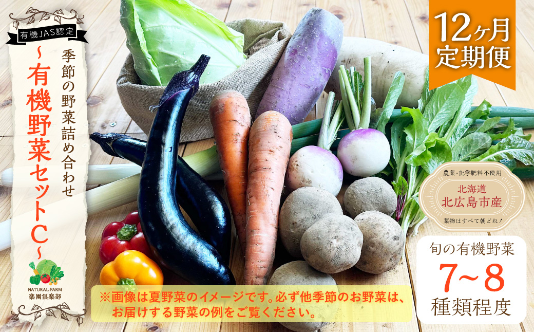 【12ヶ月定期便】有機JAS認定 季節の野菜詰め合わせ ～有機野菜セットC～