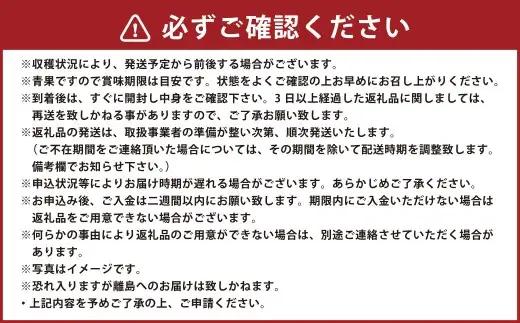 訳あり 小玉スイカ 1玉 スイカ すいか くだもの 果物 フルーツ 果実 果汁 果肉 国産 熊本県産 旬 【 2026年7月上旬～下旬発送予定 】