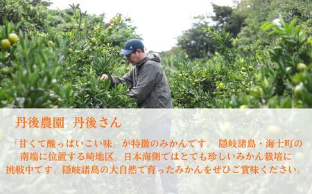【期間限定】崎地区の崎みかん Mサイズ 5kg 約50個 期間限定 11月下旬より発送開始