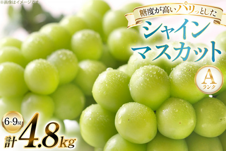 【期間限定発送】 シャインマスカット Aランク 6～9房 4.8kg [田制農園 山形県 高畠町 tk06ayt230004]