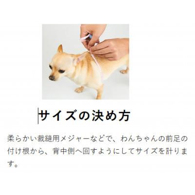 ふるさと納税 八潮市 メガネハーネス【Sサイズ】ロイヤルエトゥープ ゴールド金具 kazama premium |  | 01