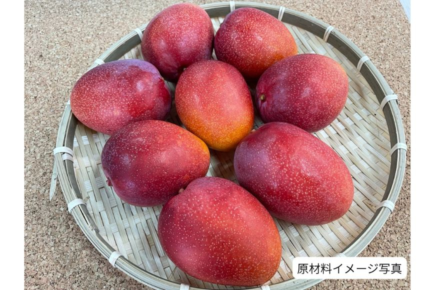 宮古島ドライマンゴー （4袋入り）（HM03）