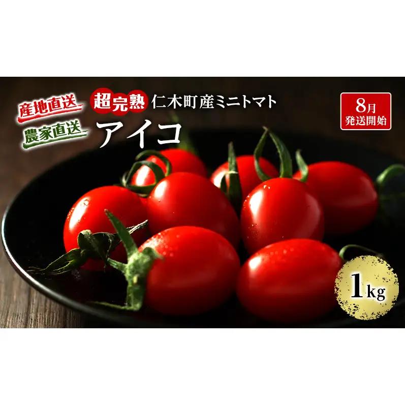 ミニトマトアイコ 農薬不使用 北海道産 ミニトマト【1kg】