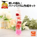 【ふるさと納税】癒しの極み♪ハーバリウム作成キット| 雑貨 インテリア 花 お花 フラワー 癒し ほっこり かわいい オシャレ