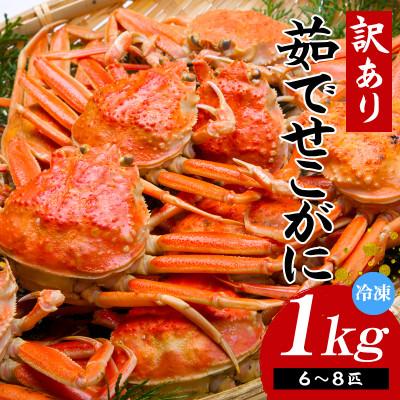 ふるさと納税 香美町 (先行予約) 兵庫県香住産 訳あり 茹で せこがに 1kg 冷凍 (令和8年11月中旬以降発送予定)