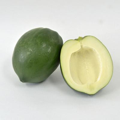 ふるさと納税 うるま市 焙煎青パパイヤ茶8包入り×4袋セット |  | 02