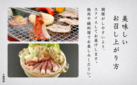 イノシシ肉 食べ比べセット（ロース　モモ　ウデ） 合計505g 010169