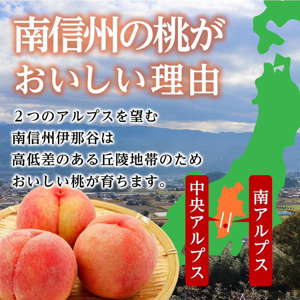【南信州産】あかつき約5kg（秀品）光センサー選別品＜2025年7月中旬より発送＞