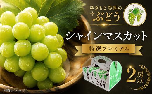 【2026年8月中旬より順次発送】 シャインマスカット 特選プレミアム 2房 （約700g×2） 愛媛県産 西条市 ゆきもと農園 農家直送 シャインマスカット しゃいんますかっと マスカット 大粒 シャインマスカット ぶどう 葡萄 愛媛県 西条市 完熟 種なしぶどう 贈答 期間限定 先行予約 【オンライン決済限定】
