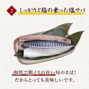 【ご家庭用】塩さばフィレ2kg