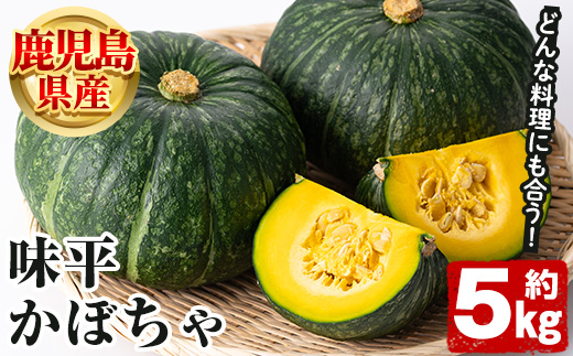 ＜2025年5月以降発送予定＞鹿児島県産 味平かぼちゃ(約5kg) 国産 野菜 かぼちゃ カボチャ 南瓜 煮物 天ぷら バーベキュー BBQ スイーツ お菓子【松永青果】a-16-29-z