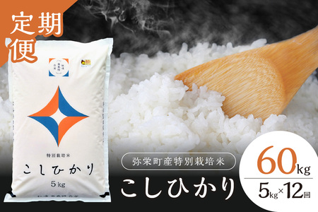 【定期便】【令和6年産】弥栄町産特別栽培米「秘境奥島根弥栄」こしひかり5kg（12回コース） 定期便 12回 お米 こしひかり 5キロ 【517】