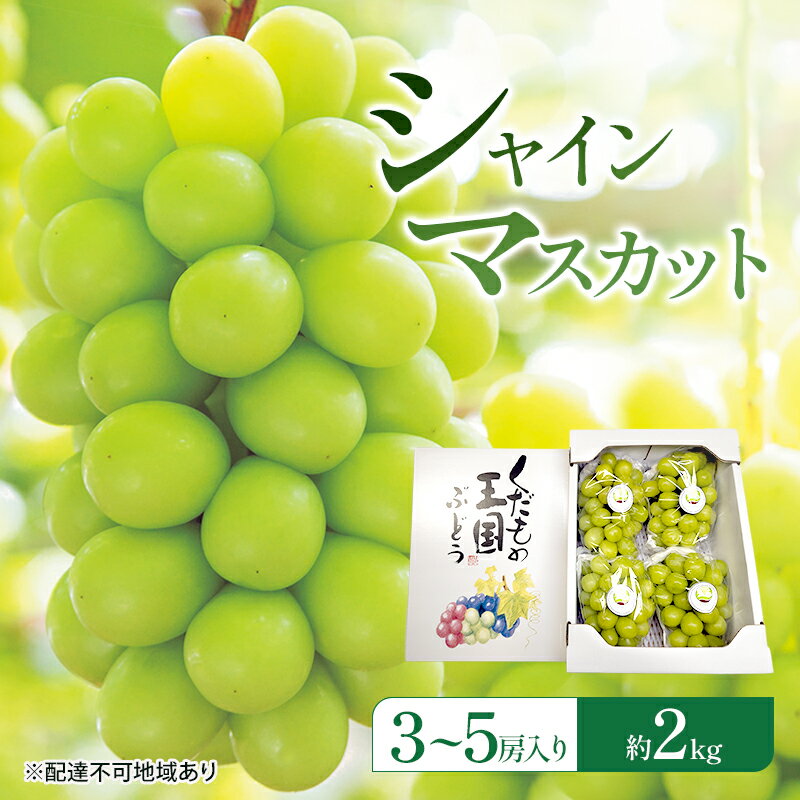 【ふるさと納税】ぶどう 2026年 先行予約 シャインマスカット (3～5房) 約2kg 岡山県 赤磐市 ブドウ 葡萄 果物 フルーツ　お届け：2026年9月20日～2026年10月20日