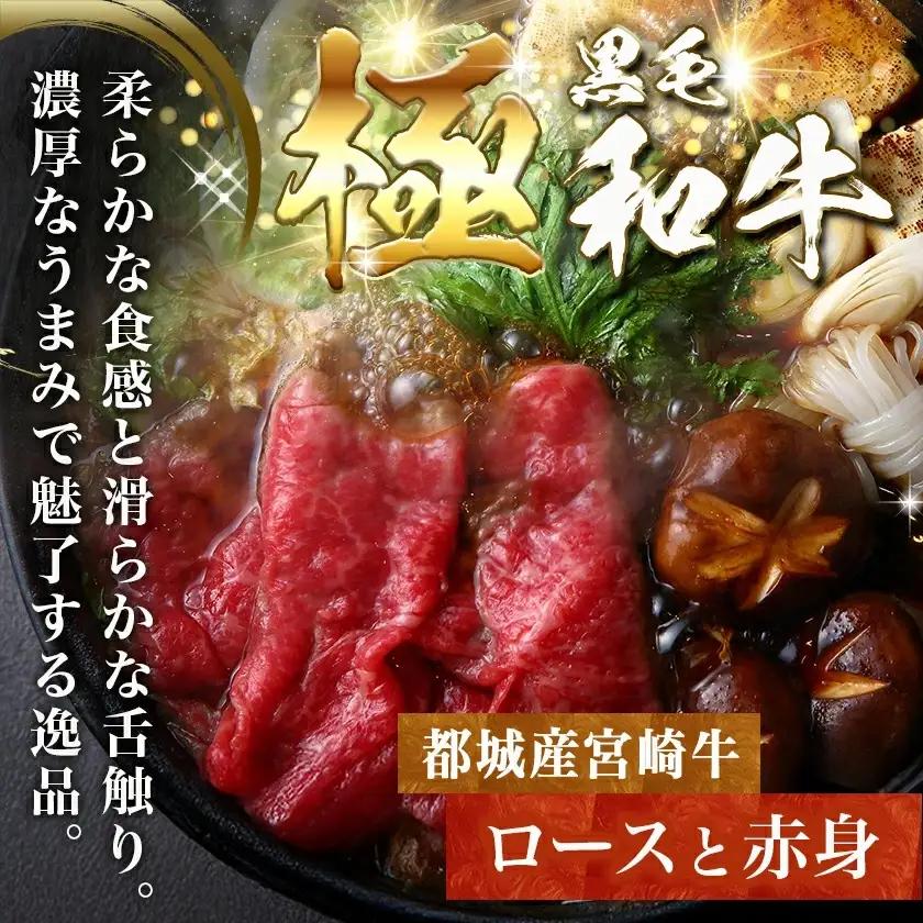 宮崎牛と黒豚+ポークソーセージの詰め合わせセット〔AC-N4-001〕_(都城市) 宮崎県産 都城産 宮崎牛 牛肉 黒毛和牛 ロース 赤身 黒豚 ウデ/モモ 切り落とし ソーセージ