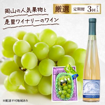 ふるさと納税 赤磐市 定期便 2026年 先行予約 是里ワイナリーのワインと果物 3回コース [NO5765-1350]