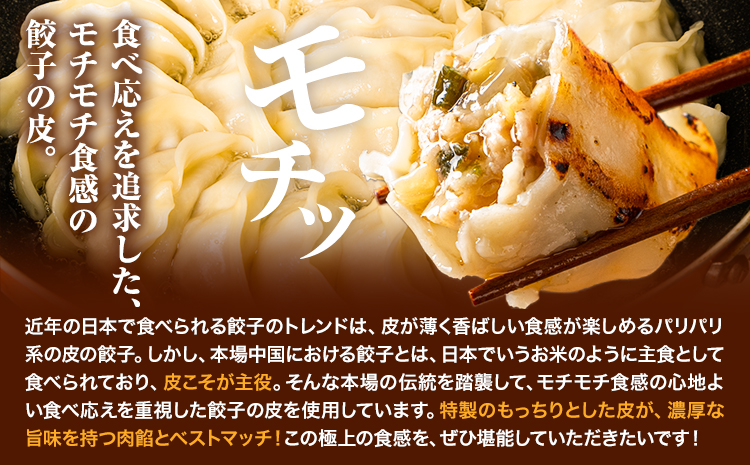 餃子 うまかポーク生餃子 90個 【6ヶ月定期便】タレ付き 大津町限定返礼品 冷凍餃子 ギョウザ《お申込み月の翌月から発送開始》大津町産豚肉使用 九州産キャベツ使用（大津町産含む）皮モチモチ 肉汁溢れ