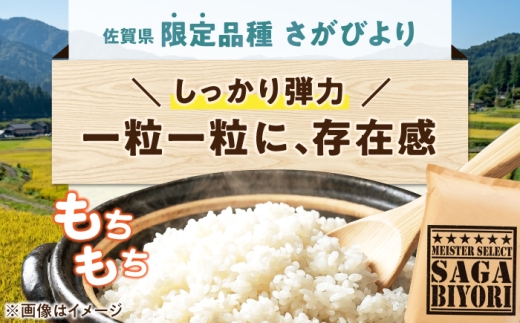 令和7年産 無洗米 さがびより 10kg（5kg×2袋） 無洗米 お米 白米 精米 佐賀県産 米 /大塚米穀店 [UFE005]