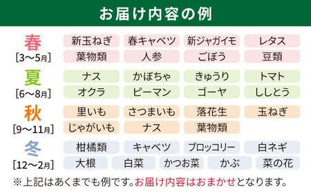 【 全12回 定期便 】 福岡県 糸島産 旬 の 野菜 盛り合わせ セット 《糸島》【株式会社フロンティア・アドバンス】[AWC009]