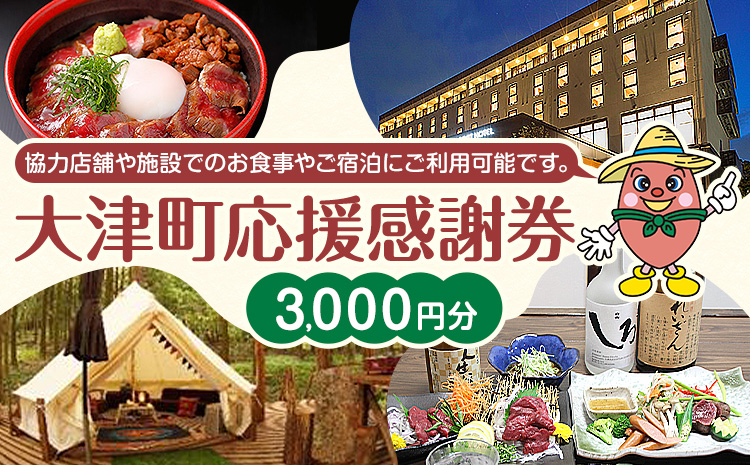 大津町 応援感謝券 3000円 観光協会《30日以内に出荷予定(土日祝除く)》熊本県 大津町 飲食店 宿泊施設---iso_knkknsy_30d_r7_13000_3i---