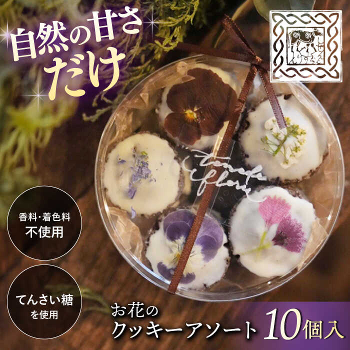 【ふるさと納税】【自然の甘さだけ】お花のクッキーアソート1ケース（10個入り）＜自然と暮らす ぐりーん＞[CEM008] 長崎 西海 お菓子 クッキー スイーツ 贈答 ギフト おしゃれ かわいい お土産 プレゼント