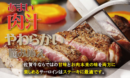 こだわりの 佐賀牛 サーロイン ステーキ 用６枚（合計1,000g） 桑原畜産 D360-002