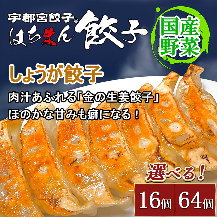 【ふるさと納税】【選べる内容量】宇都宮餃子 はちまん餃子 しょうが餃子 ｜ 宇都宮餃子 国産野菜 グルメ 宇都宮市 しょうが ぎょうざ ギョーザ 野菜 冷凍食品 冷凍餃子 焼き餃子 水餃子