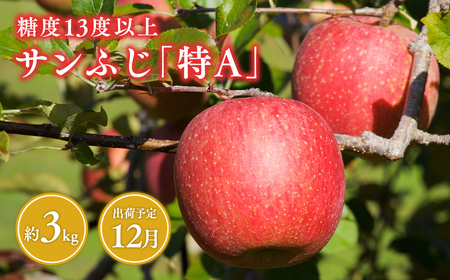 《12月発送》サンふじりんご 「 特A 」規格 約3kg(8～10玉程度) 【糖度 13度以上 森山商店 平川市産 青森りんご 年内発送 12月 林檎 リンゴ りんご サンふじ ふじ 特A規格 光センサー 選果 平川市 青森県】