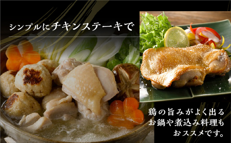 名古屋コーチン正肉セット770g ／ 鶏肉セット 鶏肉