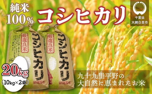 
            【令和6年産】千葉県 大網白里市産 コシヒカリ 20kg（10kg×2袋） お米 20kg 千葉県産 大網白里市 コシヒカリ 米 精米 こめ 送料無料
          