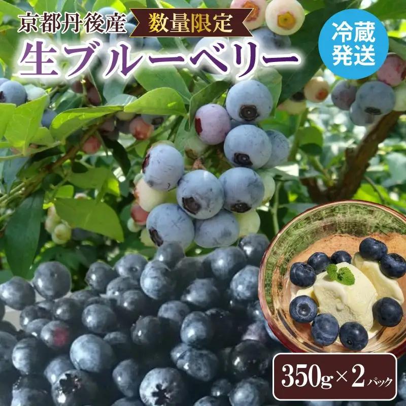 【数量限定100】国産 京都丹後ブルーベリー 350g×2パック（2027年7月上旬～発送）｜ベリー