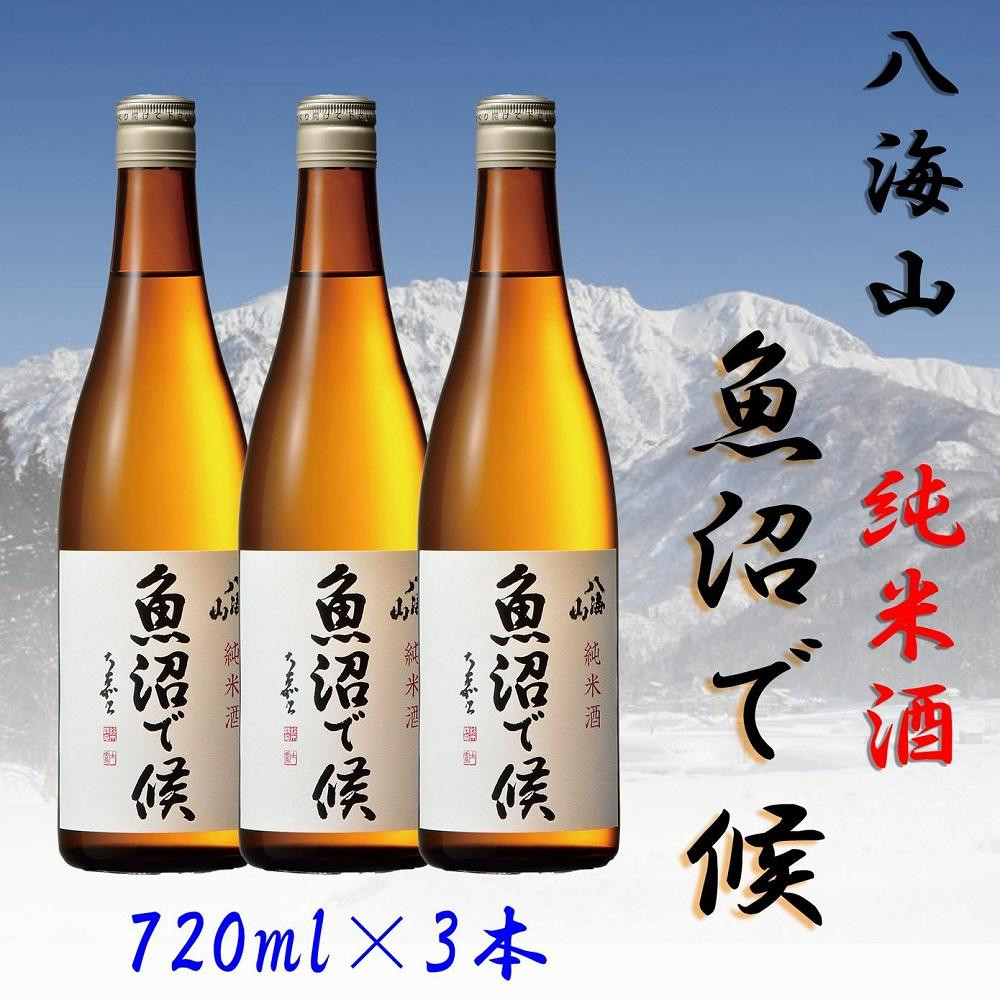 
【魚沼地域限定】純米酒 八海山「魚沼で候」720ml×3本
