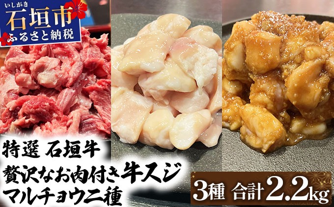 【2025年11月以降順次発送】特選石垣牛の牛スジとマルチョウ、秘伝の味噌味をご家庭で！！牛スジ500g×2、マルチョウ300ｇ×2、味噌味マルチョウ300ｇ×2の大満足のよくばりセット
