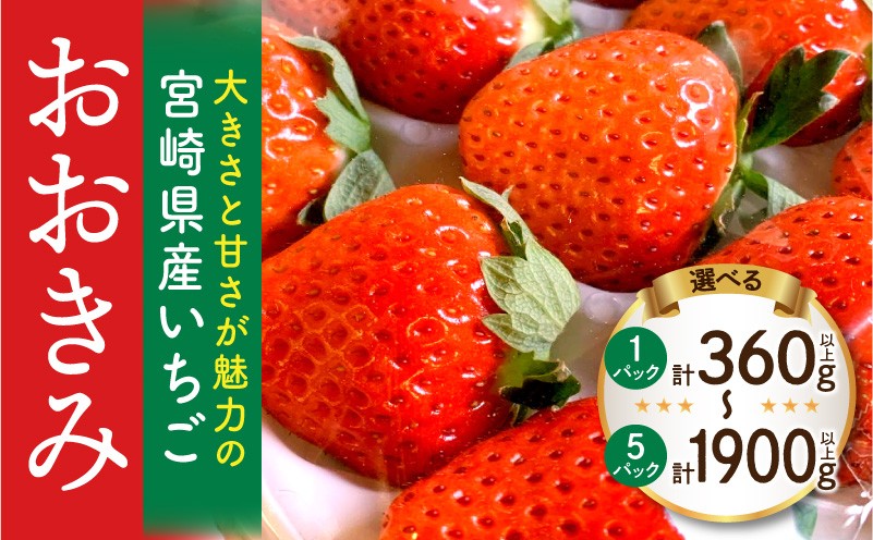 
            【選べる内容量】《2026年発送先行予約》【数量・期間限定】宮崎県産イチゴ「おおきみ」 苺 いちご ストロベリー 大きい 甘い 大粒 おおきみ 果物 フルーツ スイーツ デザート ギフト プレゼント 贈り物 贈答 数量限定 旬の果物 季節 季節の果物 果実 ケーキ 詰め合わせ 1パック 2パック 3パック 5パック 選べる 人気 おすすめ 青果物 宮崎県 宮崎市 宮崎_M260-001-SKU
          