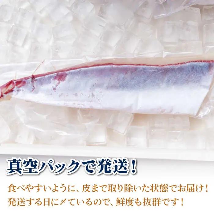 ヒラス（ヒラマサ）アラ付き  養殖 下処理済 真空パック 刺身 ブロック（1.6kg以上）[RBK004] ヒラマサ ヒラス ヒラマサ ヒラス ヒラマサ ヒラス ヒラマサ ヒラス九州 長崎