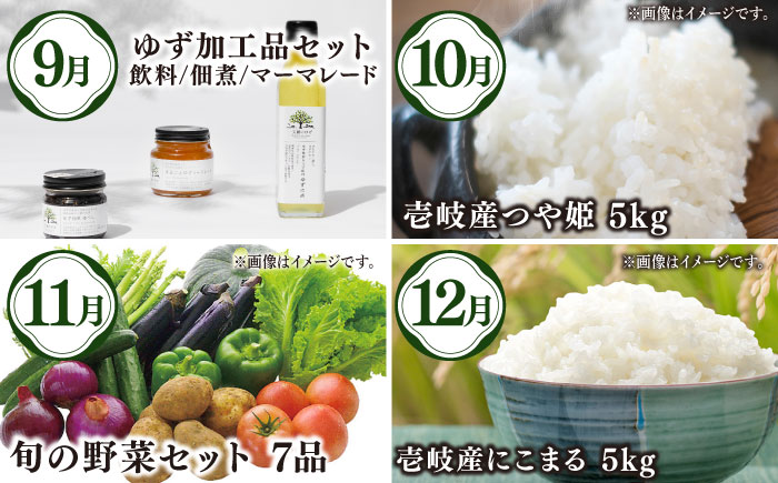 【全12回定期便】壱岐選りすぐり定期便《壱岐市》【壱岐市農業協同組合】野菜セット メロン ステーキ 詰め合わせ うに [JBO160]