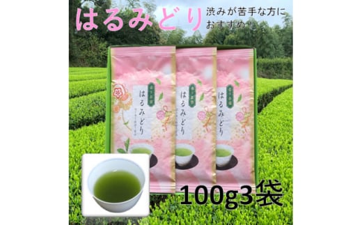 ＜数量限定＞渋いお茶が苦手な方から大好評!産地直送 希少品種「はるみどり」100g×3袋【1616208】
