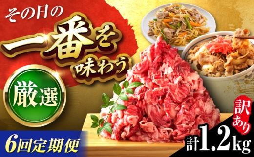 【全6回定期便】【訳あり】博多和牛 切り落とし 1.2kg(600g×2P) 吉富町/株式会社MEAT PLUS [BGAB093] 国産 和牛 ブランド牛 切り落とし 赤身 小分け きりおとし福岡県