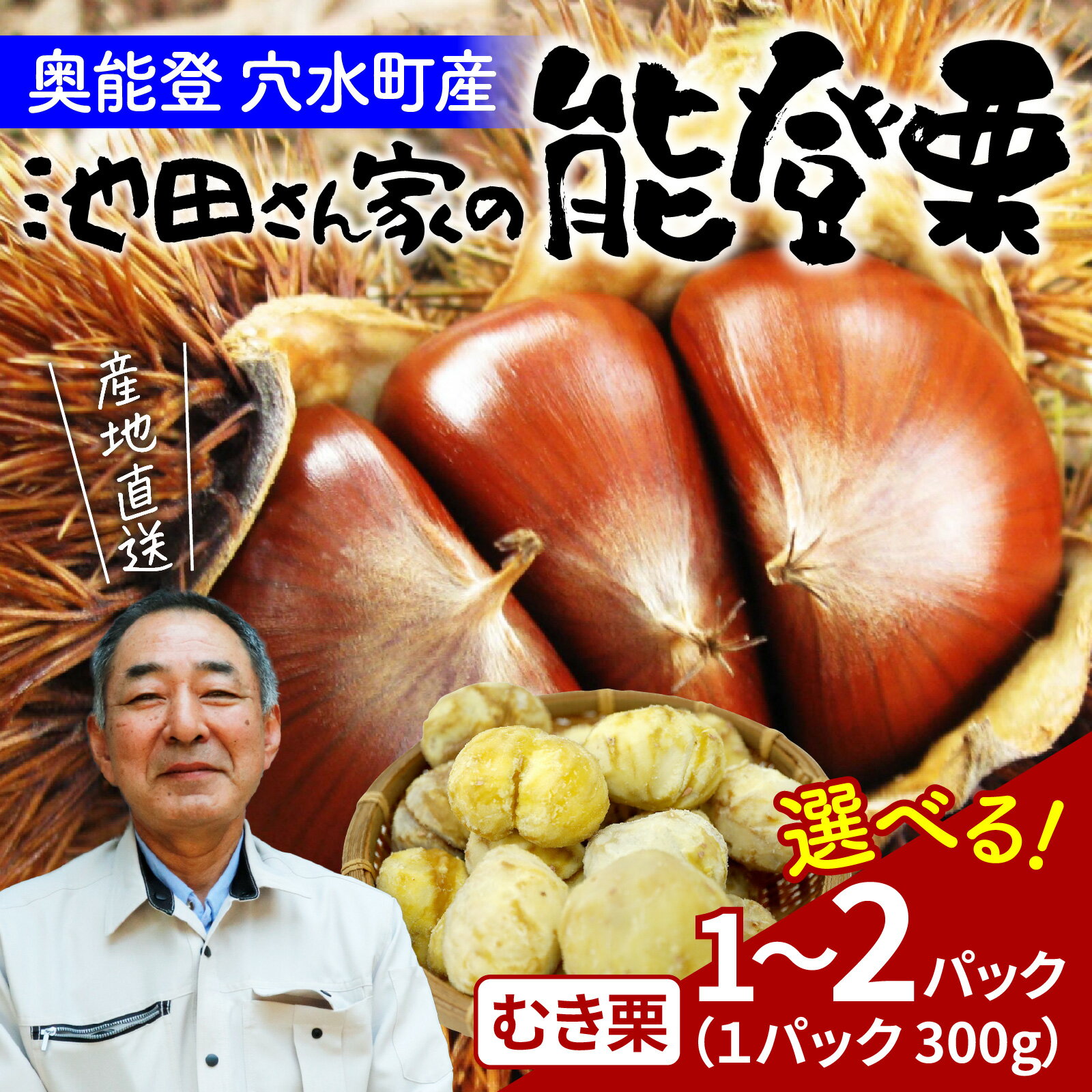 【ふるさと納税】【先行予約】容量選べる 池田栗園の能登栗（むき栗） 300g or 600g 【2025年9月下旬以降順次発送】/能登半島 奥能登 くり マロン 和栗 焼き栗 栗ごはん 焼き栗 国産 果物 秋 スイーツ 甘露煮 皮むき 送料無料