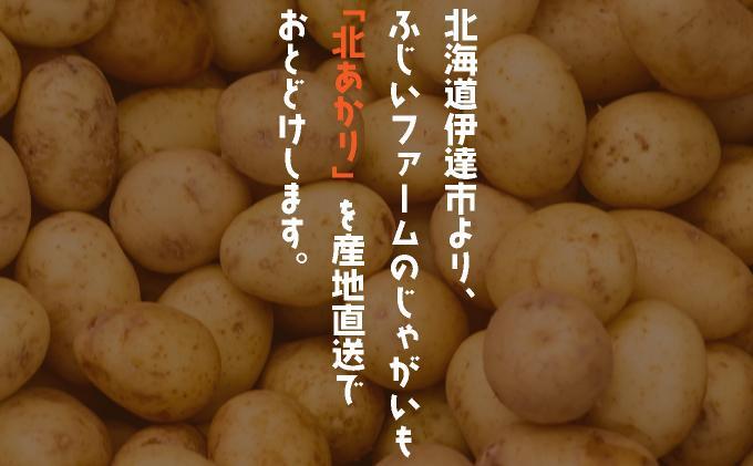 ＜先行予約＞北海道産 じゃがいも(北あかり) 約10kg【hjf-006】ジャガイモ 馬鈴薯 ポテト 芋 イモ きたあかり キタアカリ 野菜 人気 ふじいファーム 10kg