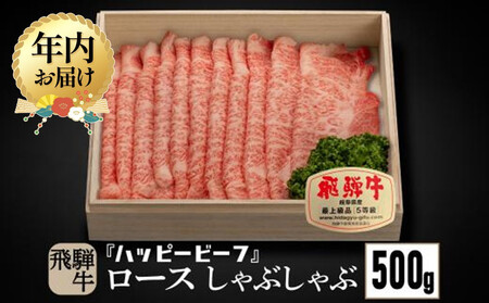 【12月配送】飛騨牛 A5等級 ロース ５００g しゃぶしゃぶ 年内発送  飛騨牛 ブランド牛 Ａ5ランク ハッピープラス 飛騨高山 JQ019VC12