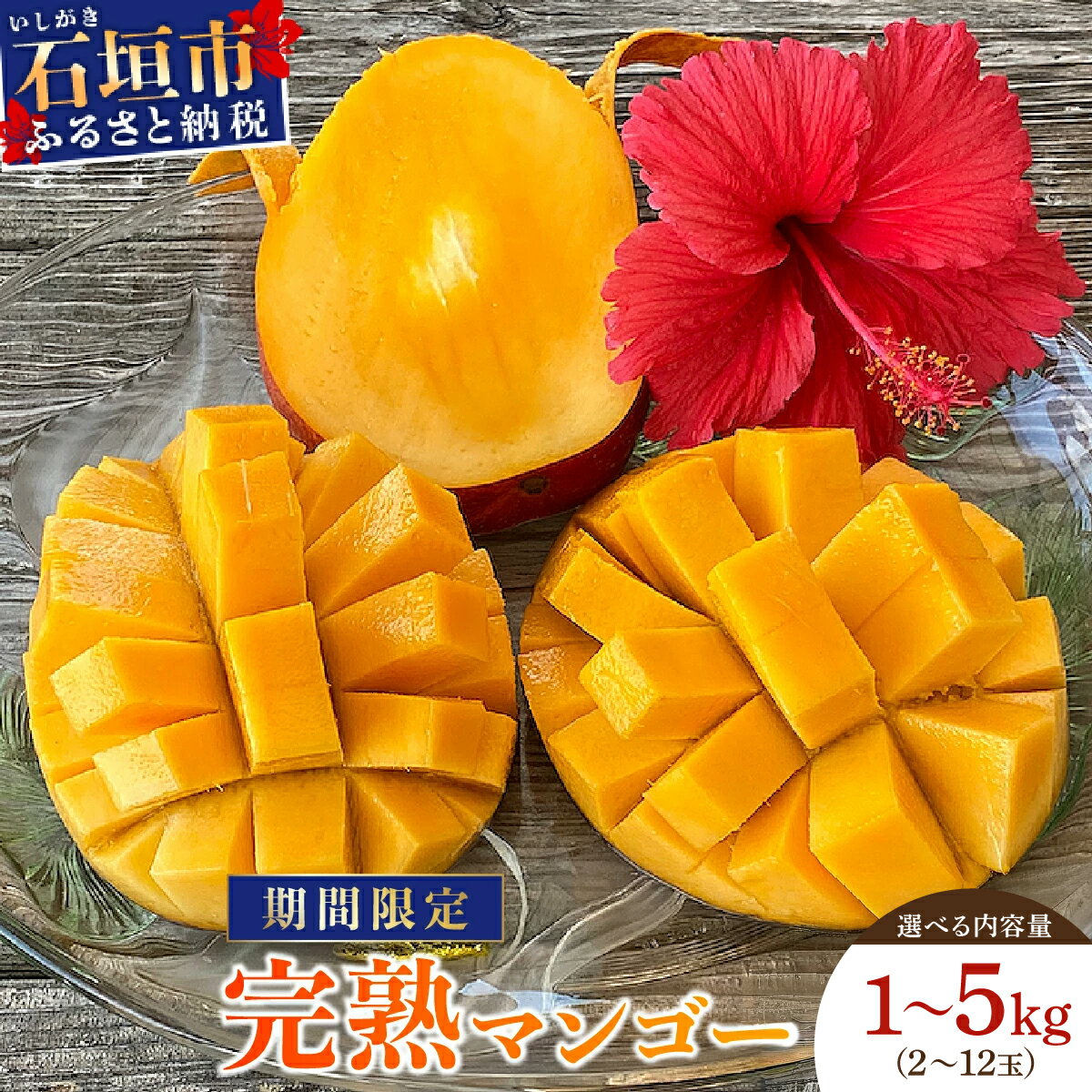 【ふるさと納税】＜選べる内容量＞【先行予約】石垣産 マンゴー (アーウィン種) 1.3kg / 2.4kg / 5kg 【2026年6月頃発送】 | マンゴー アーウィンマンゴー 果物 くだもの フルーツ 果実 国産 沖縄県 沖縄 石垣島 石垣市 ふるさと 人気 送料無料