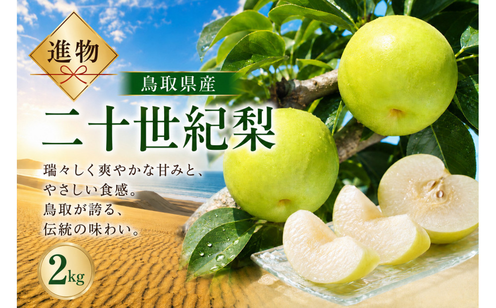山根農園 二十世紀梨 ギフト2kg