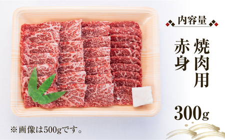 飛騨牛 赤身 焼肉用 300g 牛肉 国産 焼き肉 A4等級以上 A4 A5 等級 高山米穀 岐阜県 白川村 白川郷 贅沢 冷凍 15000円 [S550]