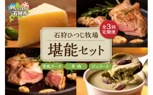 【定期便】【年3回】石狩ひつじ牧場「ピスタチオと羊乳フロマージュブランのジェラート・羊肉・羊乳チーズ」セット｜ふるさと納税 石狩市 北海道 羊乳 乳製品 スイーツ ラム肉 チーズ バラエティセット 詰め合わせ
