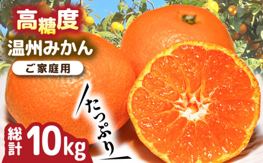 みかん【2026年11月下旬〜発送】【高糖度】 ★ 温州みかん 約10kg / みかん 果物 フルーツ 柑橘 蜜柑 ミカン くだもの mikan ミカン 国産 家庭用 / 南島原市 / 南島原果物屋 [SCV012]